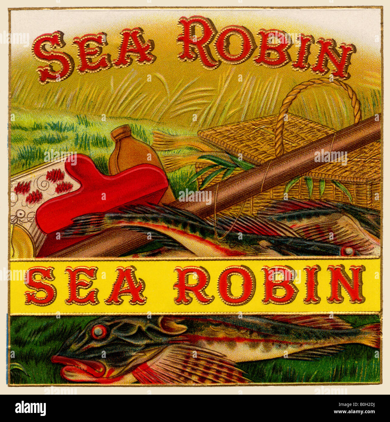 Sea Robin Zigarren Stockfoto