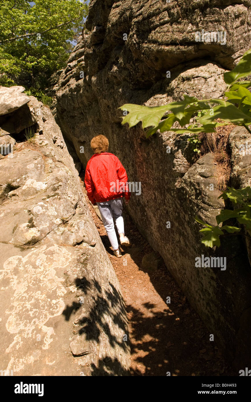 Eine weiße Frau (50-55) geht durch Crevass und führt zur Rock House Cave im Petit Jean State Park Arkansas USA Stockfoto