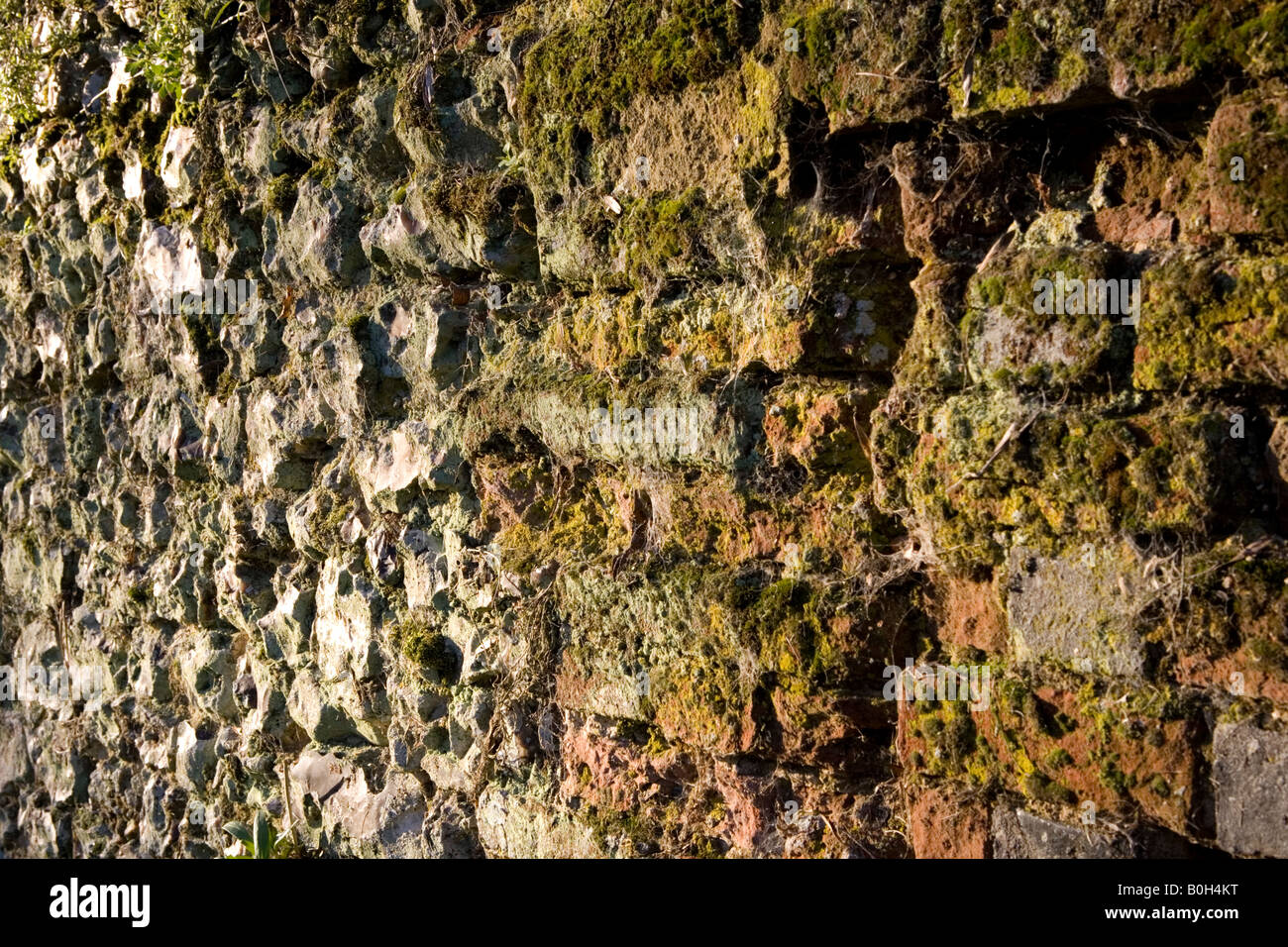 Eine alte Moos bedeckt Lehmziegel und Flintstone Wand in Medmenham, Buckinghamshire, England. Stockfoto