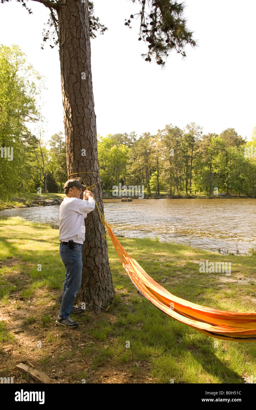 Kaukasischen Mann (40-45) Bindungen Hängematte zum Baum am See Bailey am Petit Jean Staatspark Arkansas USA Stockfoto