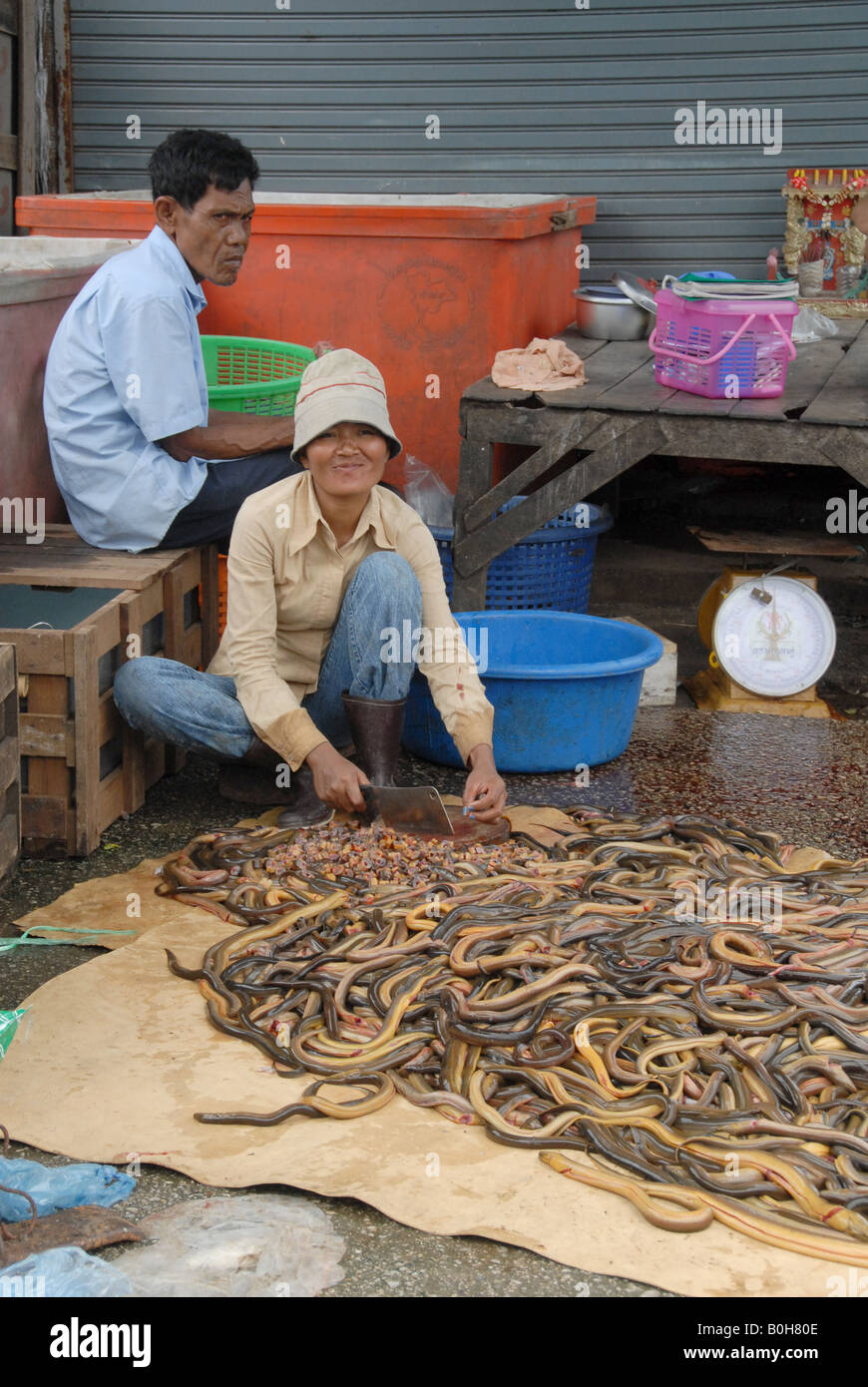 Reinigung der Aale am Markt, thailändisch-kambodschanischen Grenze Stockfoto