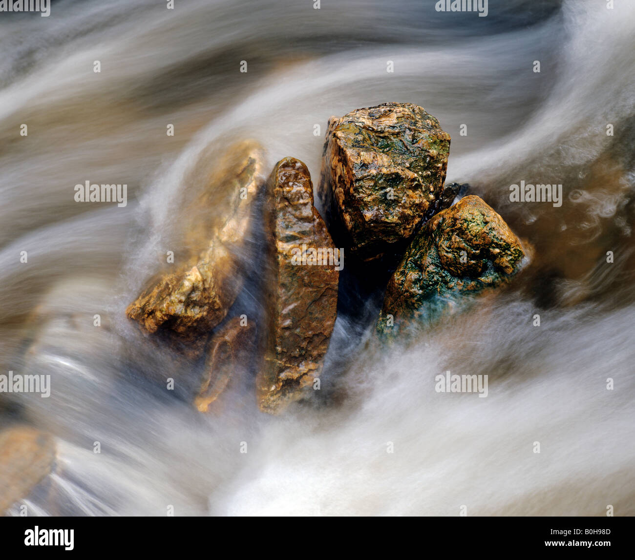 Gold glänzenden Steinen in einem schnell fließenden Bach Stockfoto