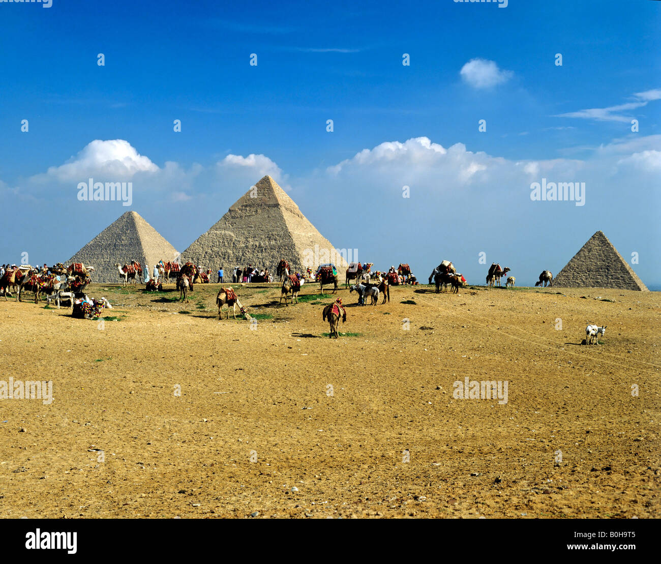 Gizeh Pyramidenanlage, Cheops, Chephren, Menkorah Pyramiden, Kairo, Ägypten Stockfoto
