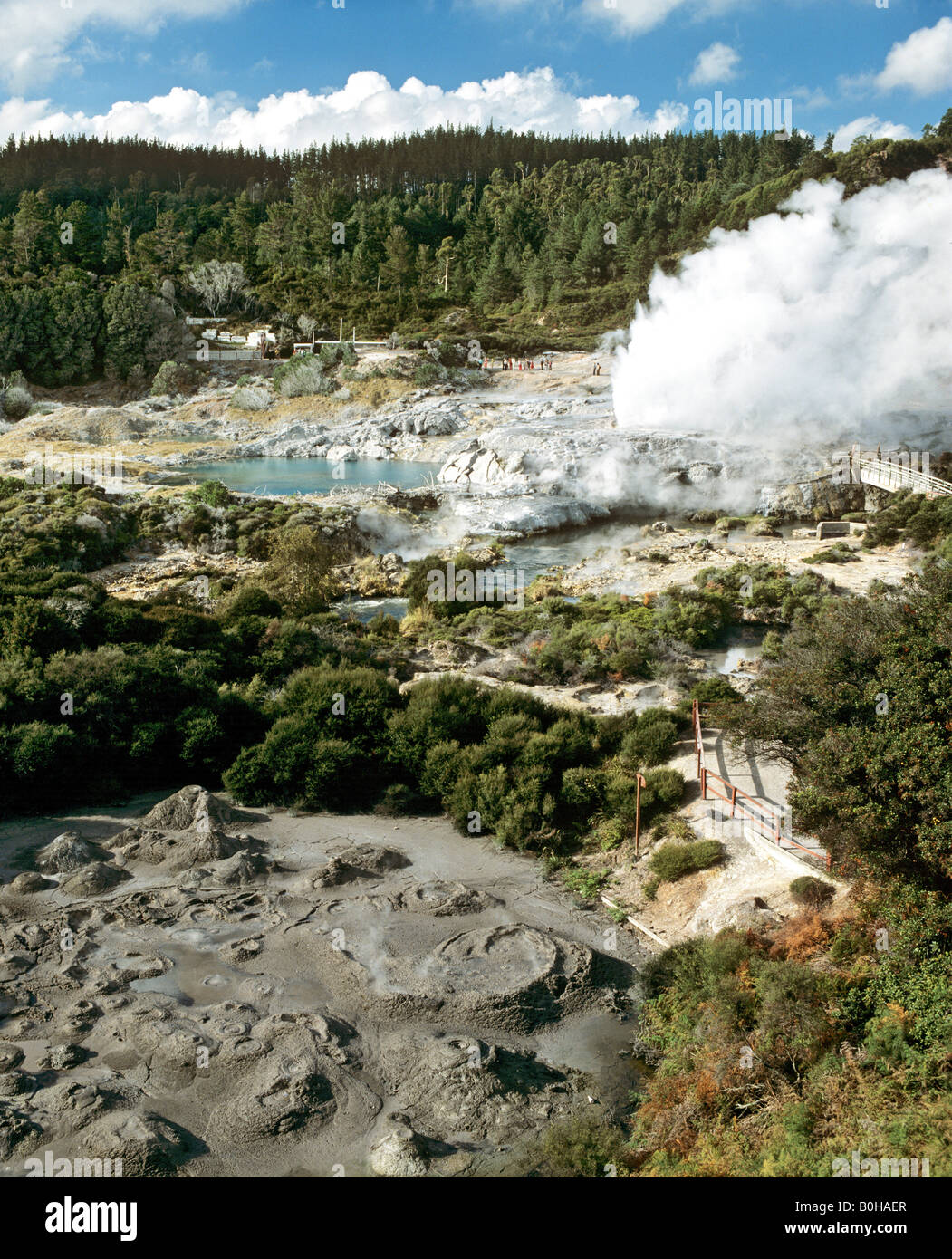 Pohutu Geysir, Whakarewarewa geothermische Gebiet, Rotorua, Nordinsel, Neuseeland Stockfoto