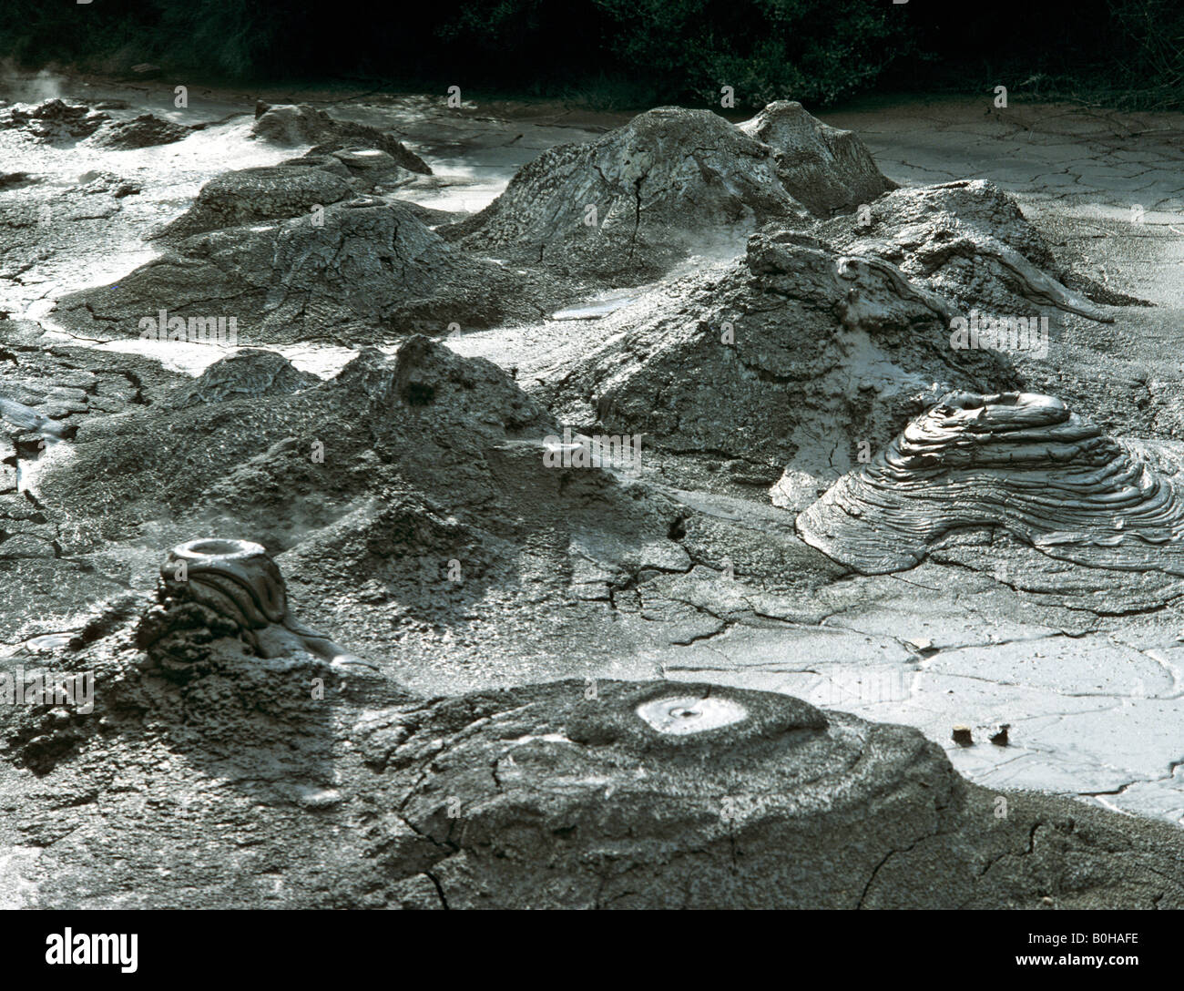 Schlammvulkan in der Nähe von Pohutu Geysir, Whakarewarewa geothermische Gebiet, Rotorua, Nordinsel, Neuseeland Stockfoto