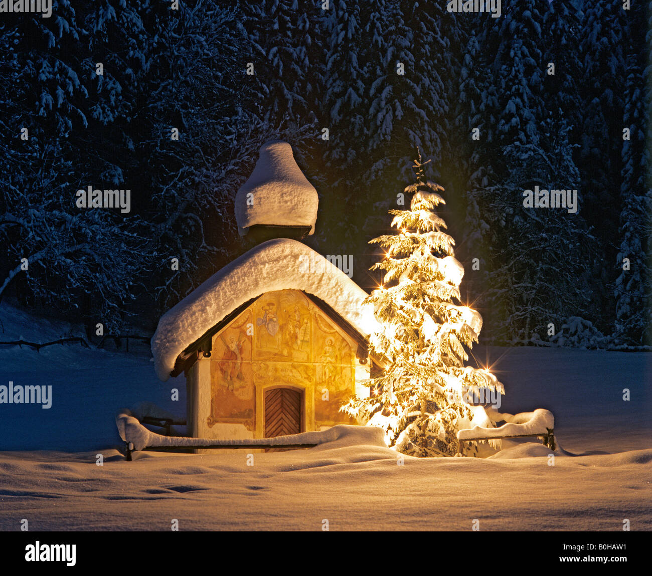 Kapelle in der Nähe von Elmau, Dämmerung, verschneite Winterlandschaft, Weihnachtsbaum, Upper Bavaria, Bavaria, Germany Stockfoto