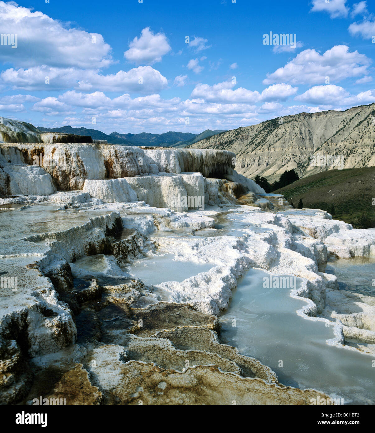 Sintern Sie Terrassen in der Nähe von Mammoth, Yellowstone-Nationalpark, Rocky Mountains, Wyoming, USA Stockfoto