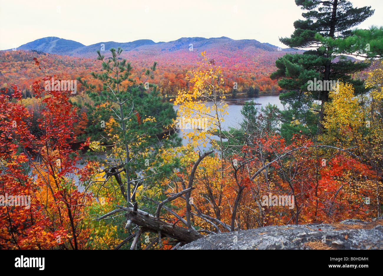 Blick über farbige Herbstblätter zum See Lac Stukely, Indian Summer im Nationalpark Mont Orford, Québec, Kanada Stockfoto