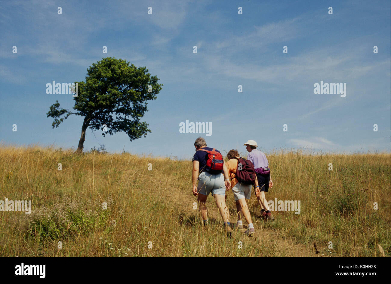 Mitglieder die Ramblers Association auf einer 12-Meilen-Wanderung in der Nähe von Charlbury, Oxfordshire, England. Stockfoto