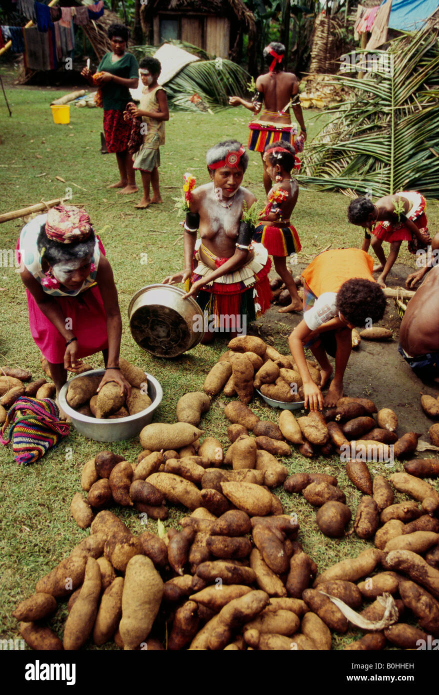 Frauen Vorbereitung Yams, ins Dorf für Yam Erntedankfest auf den Trobriand-Inseln, Cartwheel, Papua New Guinea zu nehmen. Stockfoto