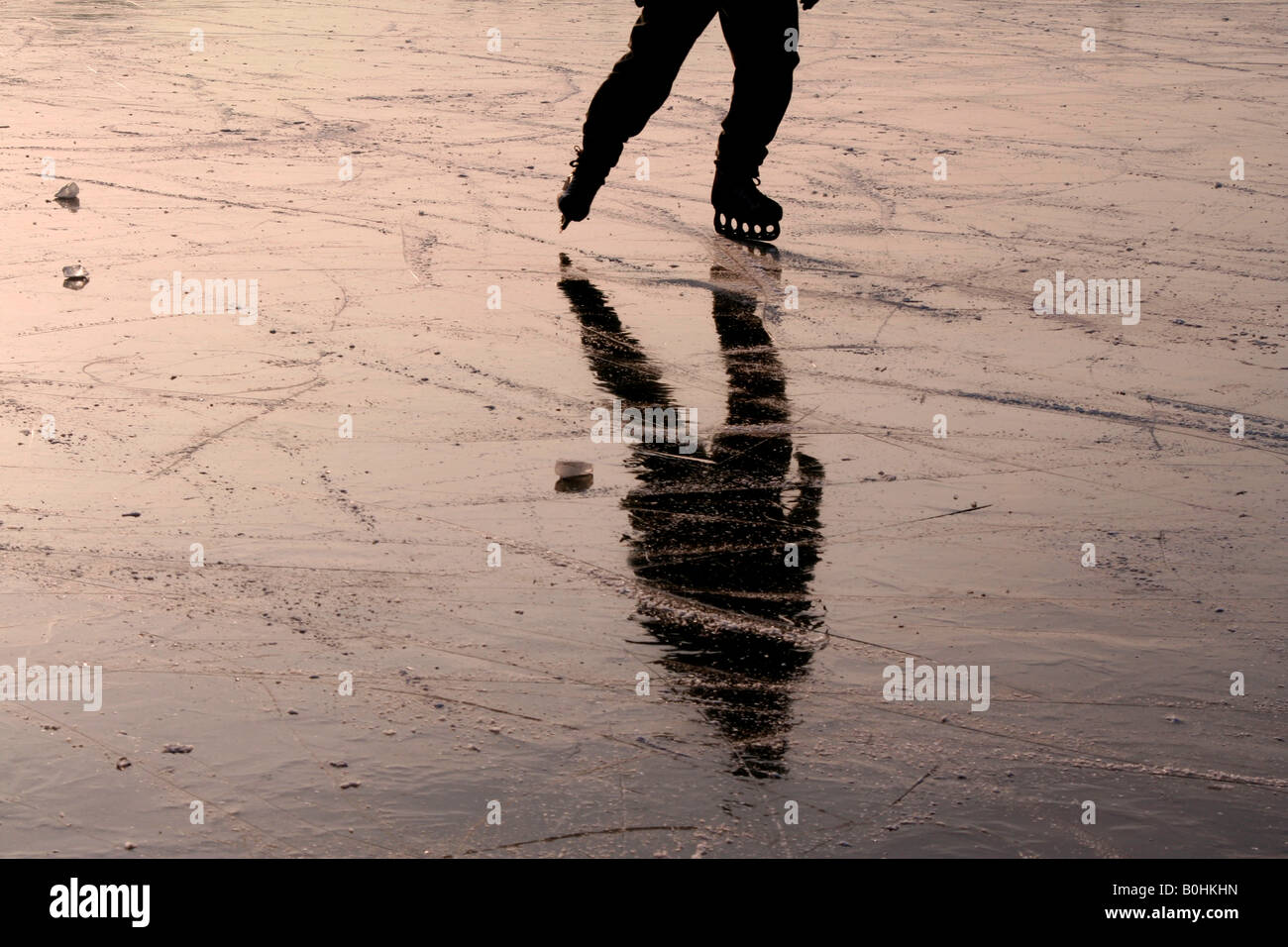 Eis-Skater in Schlittschuhen spiegelt sich in der gefrorenen Oberfläche von den Fluss Havel, Potsdam, Deutschland, Europa Stockfoto