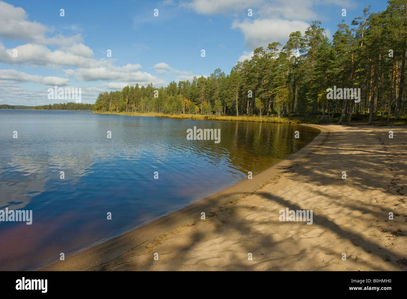 Kiefer-Wald, See, Sandstrand, Nationalpark Tiiliikajaervi, Finnland, Scandinavia Stockfoto