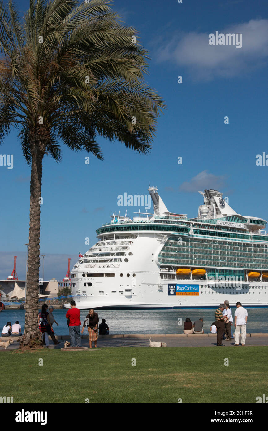 Palmenschatten auf dem Gebäude in Spanien Stockfoto