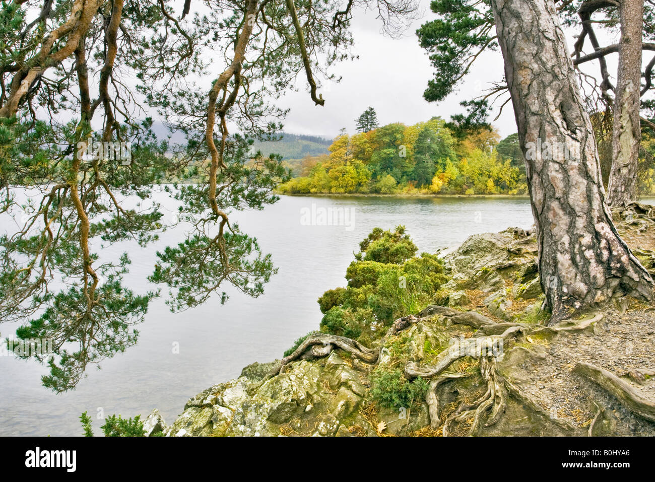 Mönchs Crag am Derwent Water in Keswick mit den Bäumen voller Herbst Farbe. Nationalpark Lake District, Cumbria, UK Stockfoto