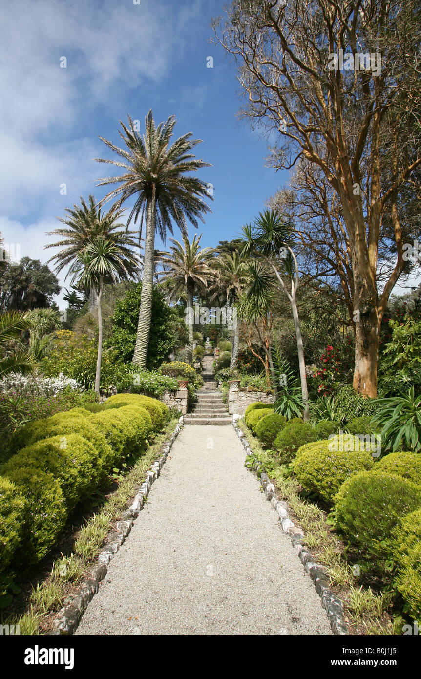Tresco Klostergarten, Tresco, Isles of Scilly, Großbritannien Stockfoto