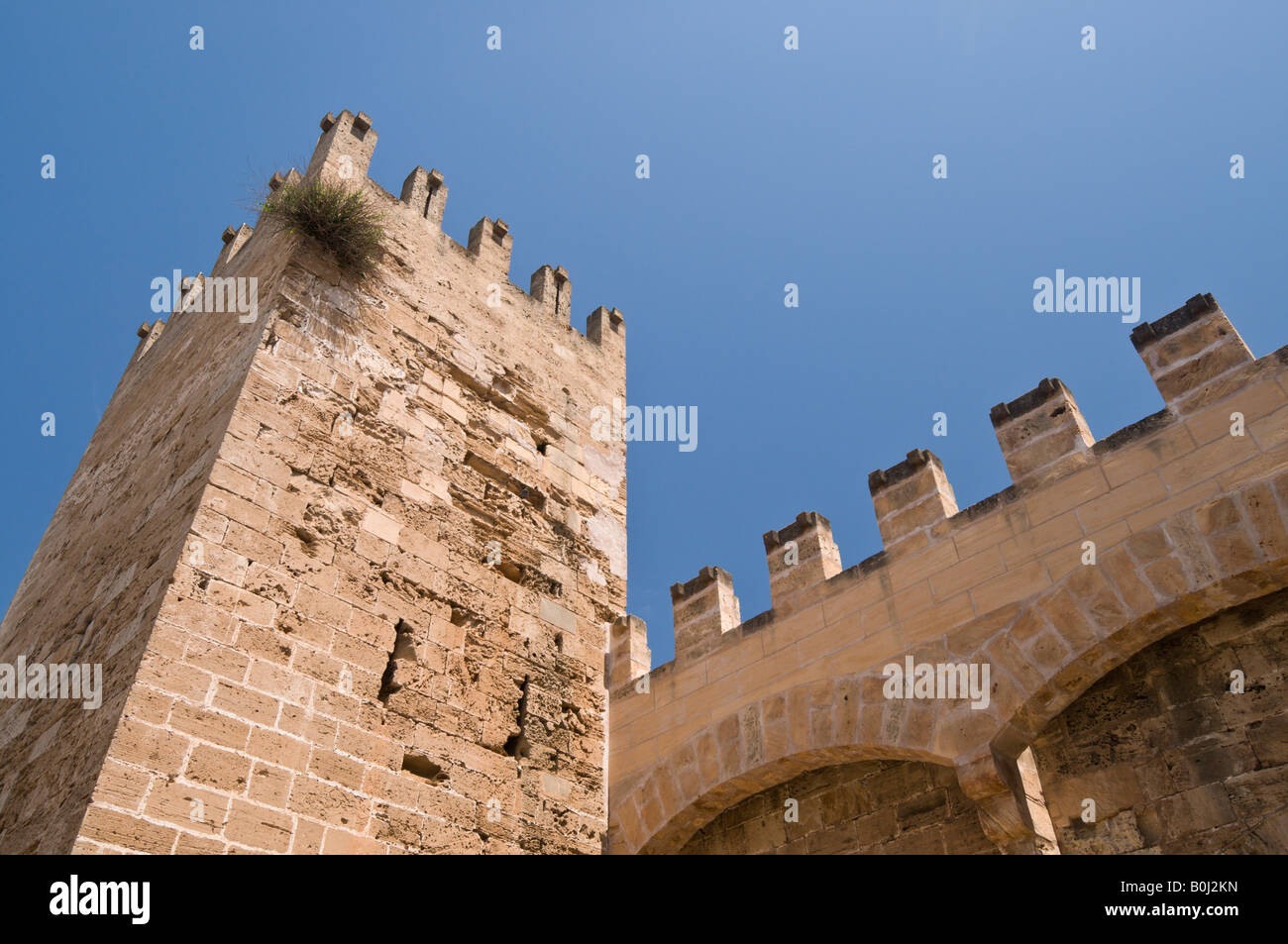 Ein Teil der Mauer und Tor Turm rund um die Altstadt von Alcudia, Mallorca. Stockfoto