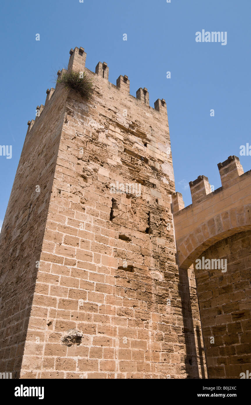 Ein Teil der Mauer und Tor Turm rund um die Altstadt von Alcudia, Mallorca. Stockfoto
