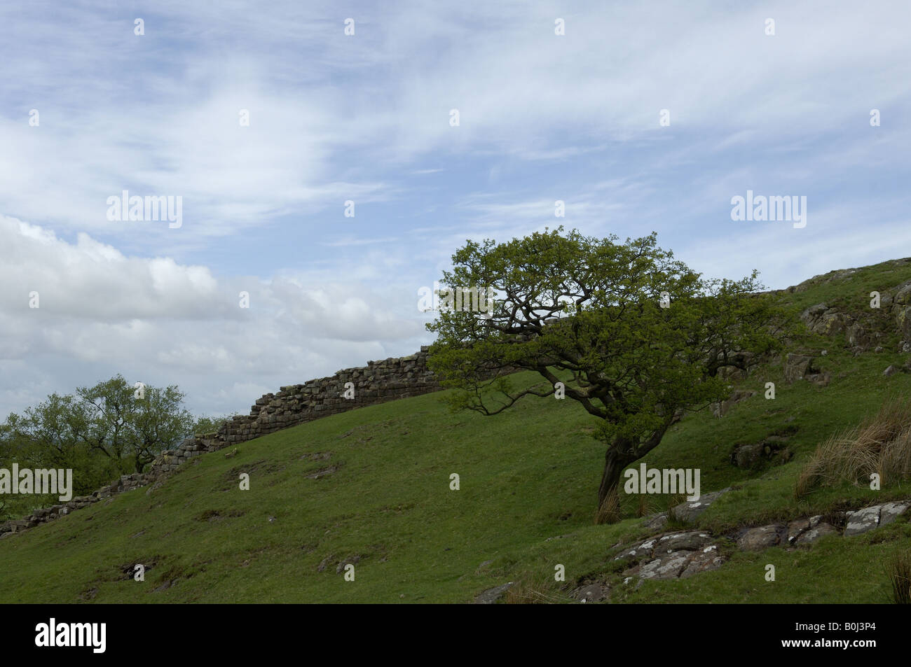 Hadrianswall, West Cumbria, Nord-England, Schottland, UK, Vindolanda, Praetorium, Fort, Bauschutt und Mörtel, Römisches Reich, AD 122 Stockfoto