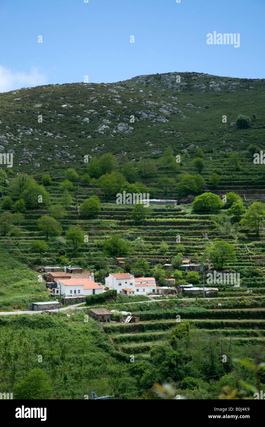 Algarve Bergbauernhof mit Terrassenfeldern oberhalb Monchique, Algarve, Portugal Stockfoto