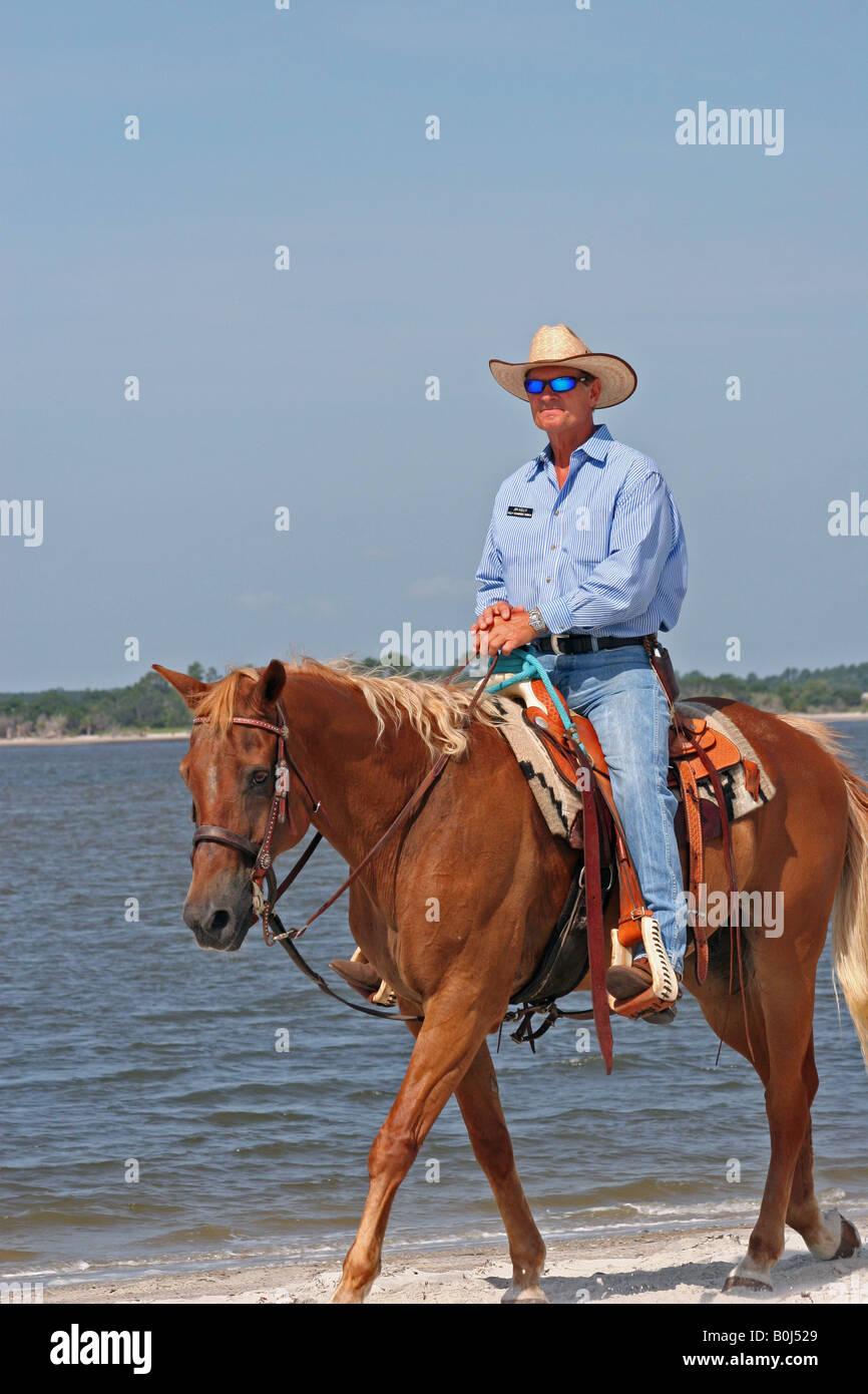 Strand-Pferd-Reiter-Nahaufnahme Stockfoto