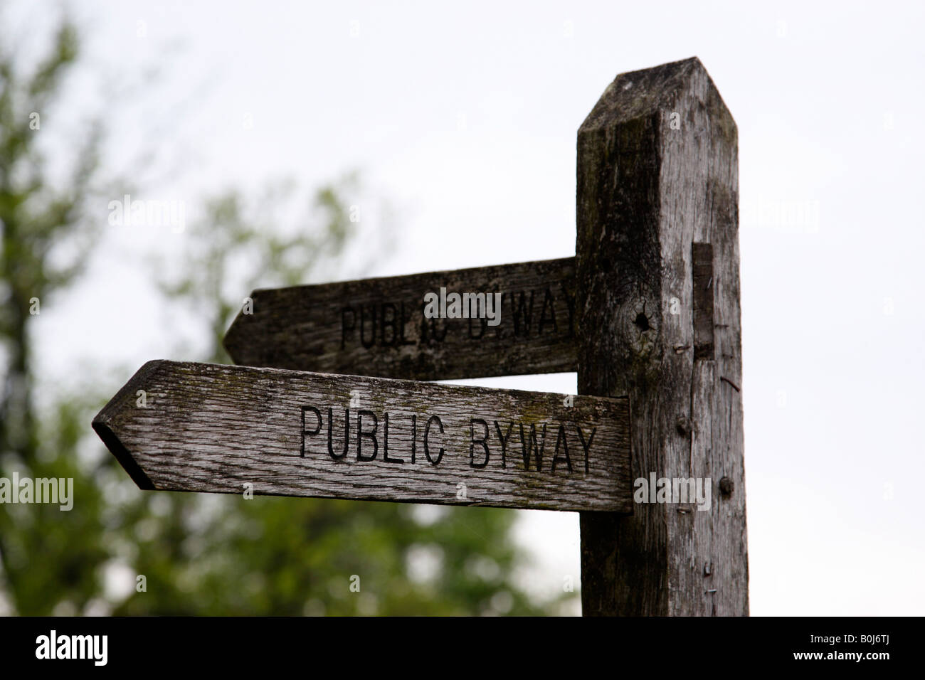 öffentliche Byway unterzeichnen Ewhurst Surrey England uk Stockfoto