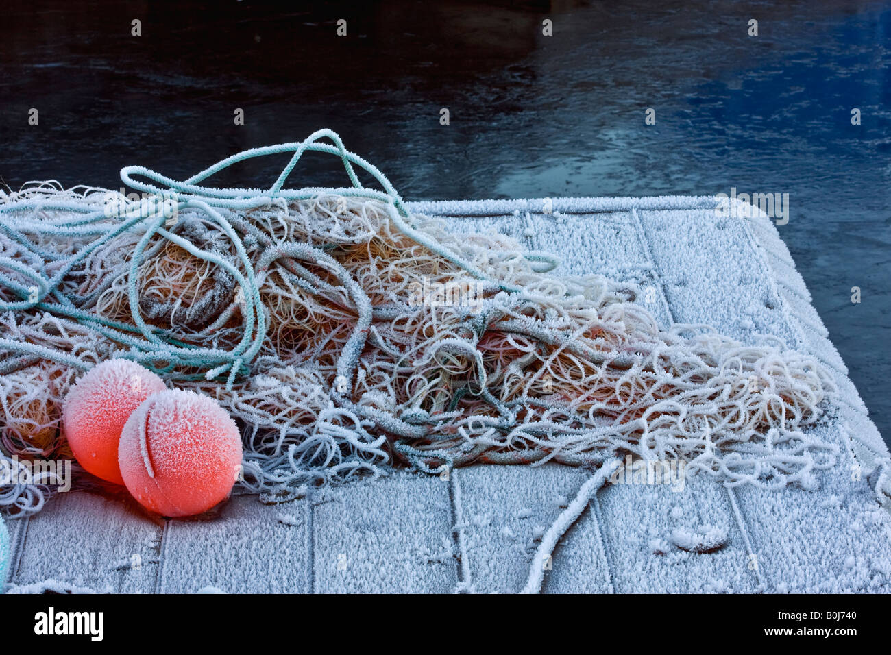 Net und Marker Bojen auf ein Bootsanleger Angeln Angeln eingefroren. Westküste Norwegens. Stockfoto