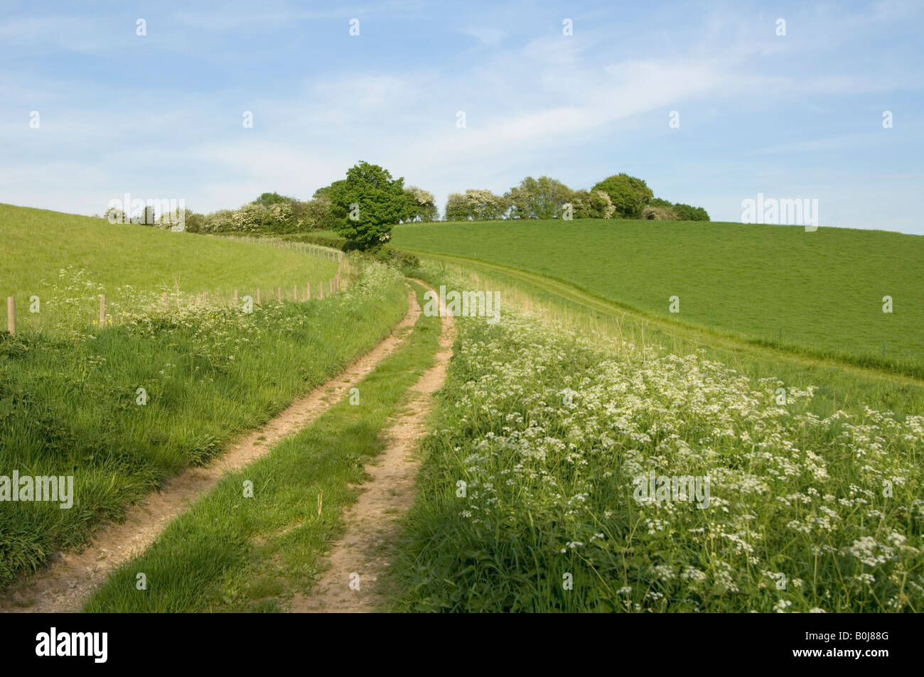 Rollende Landschaft Hampshire UK Stockfoto