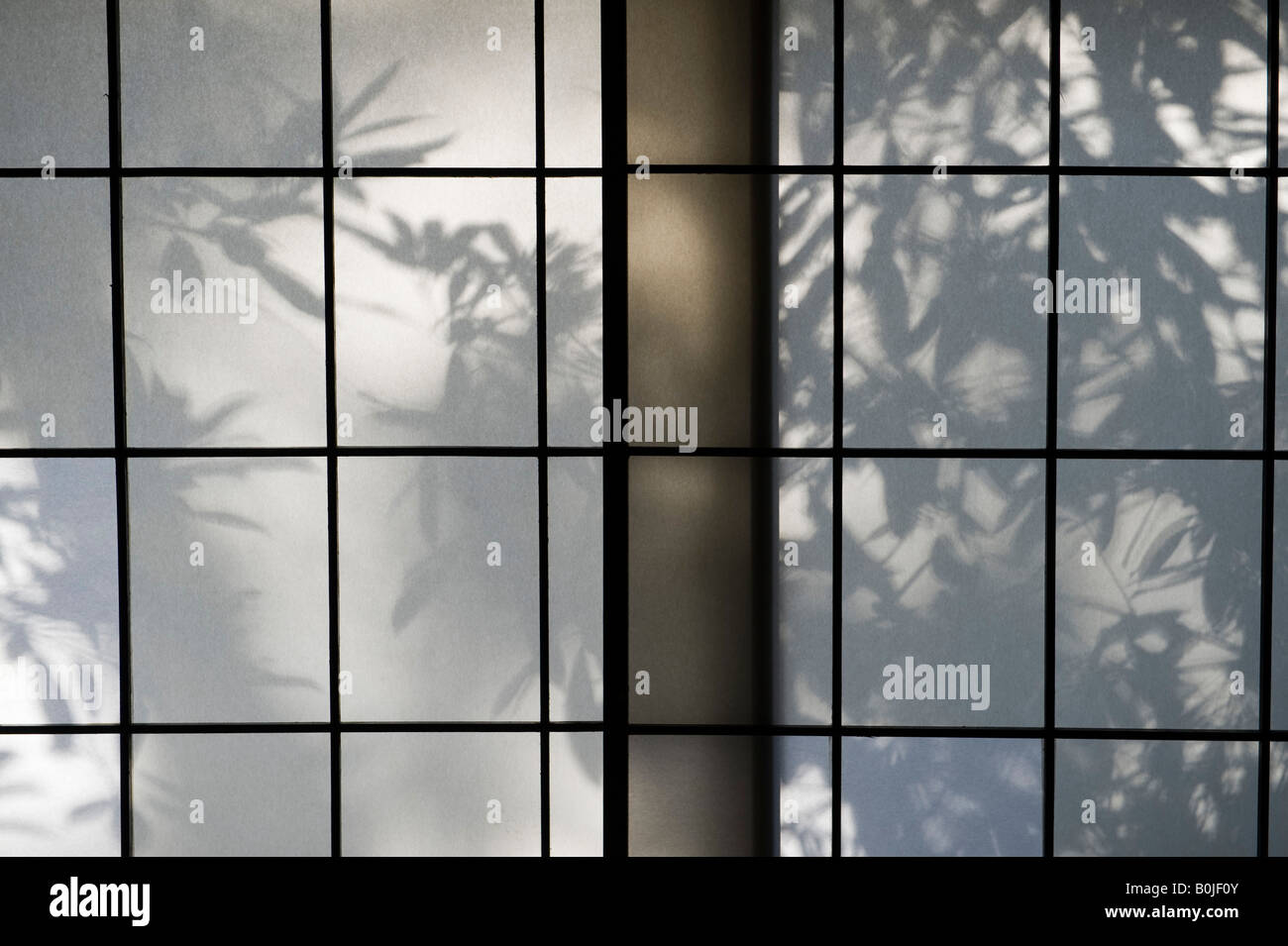 Tokio, Japan. Bambus Blatt Schatten auf einer gleitenden Papier Fenster (Shoji) in den frühen Morgenstunden Stockfoto