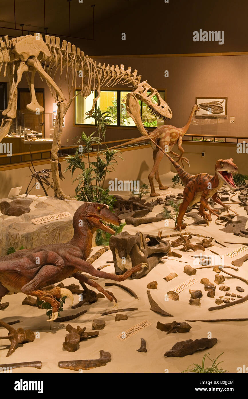 Dakota Dinosaur Museum Dickinson North Dakota USA Stockfoto