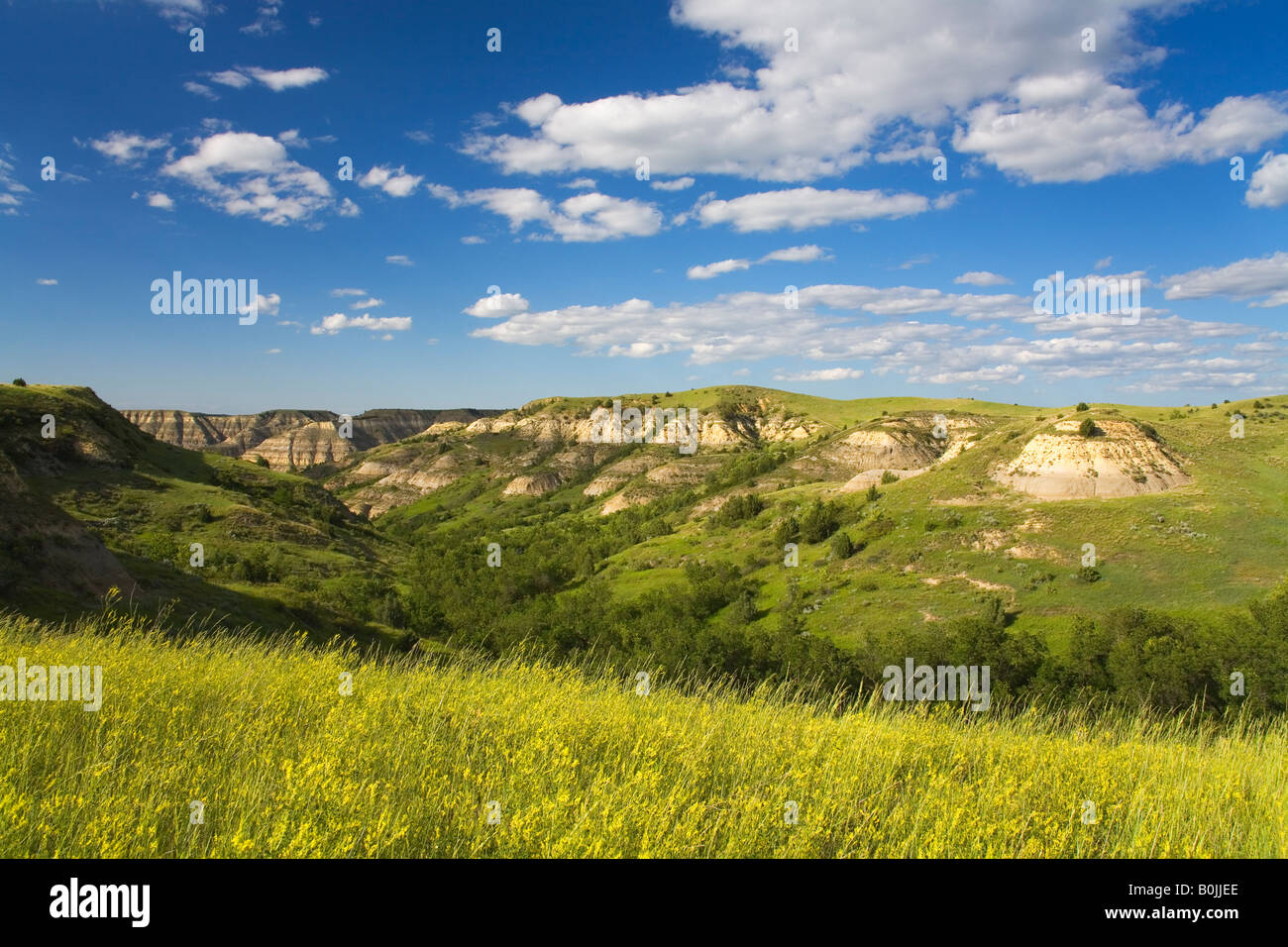 Theodore Roosevelt Nationalpark North Unit Watford North Dakota USA Stockfoto