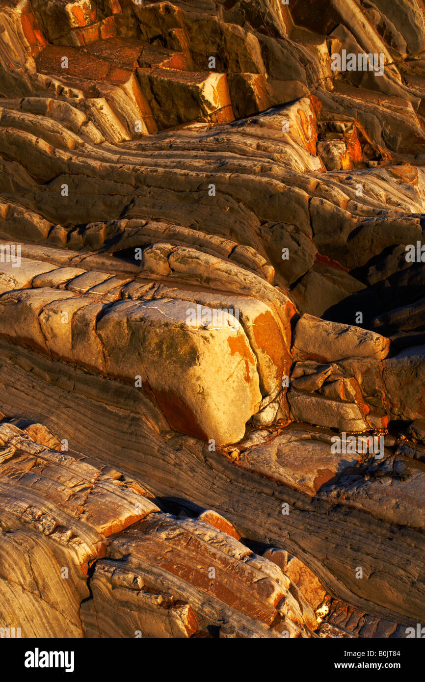 Ein Studium der Geologie an der Sandymouth Bucht an der Nordküste von Cornwall Stockfoto