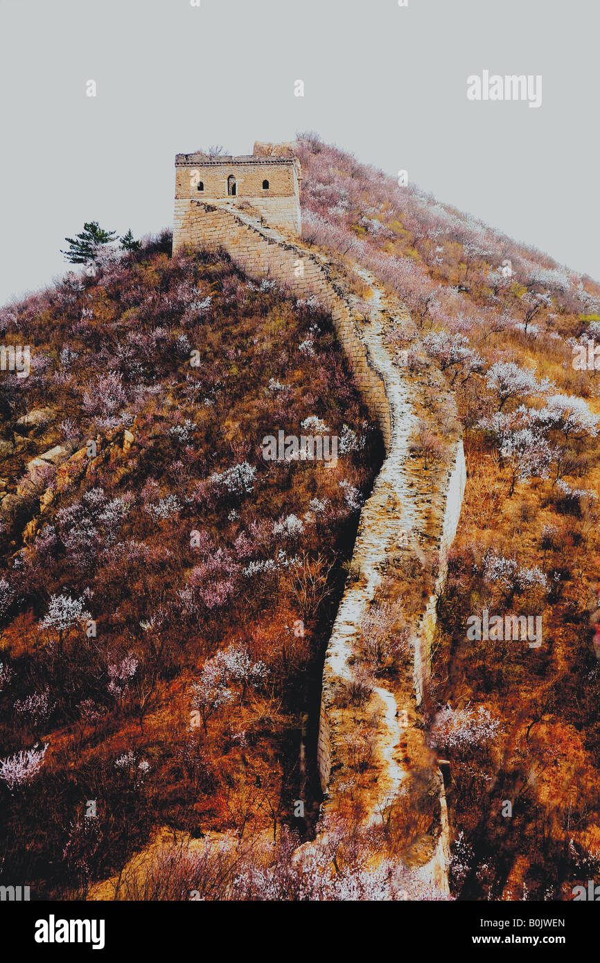 Die legendäre chinesische Mauer, inmitten von Blüten an einem nebligen Frühlingsmorgen. Stockfoto