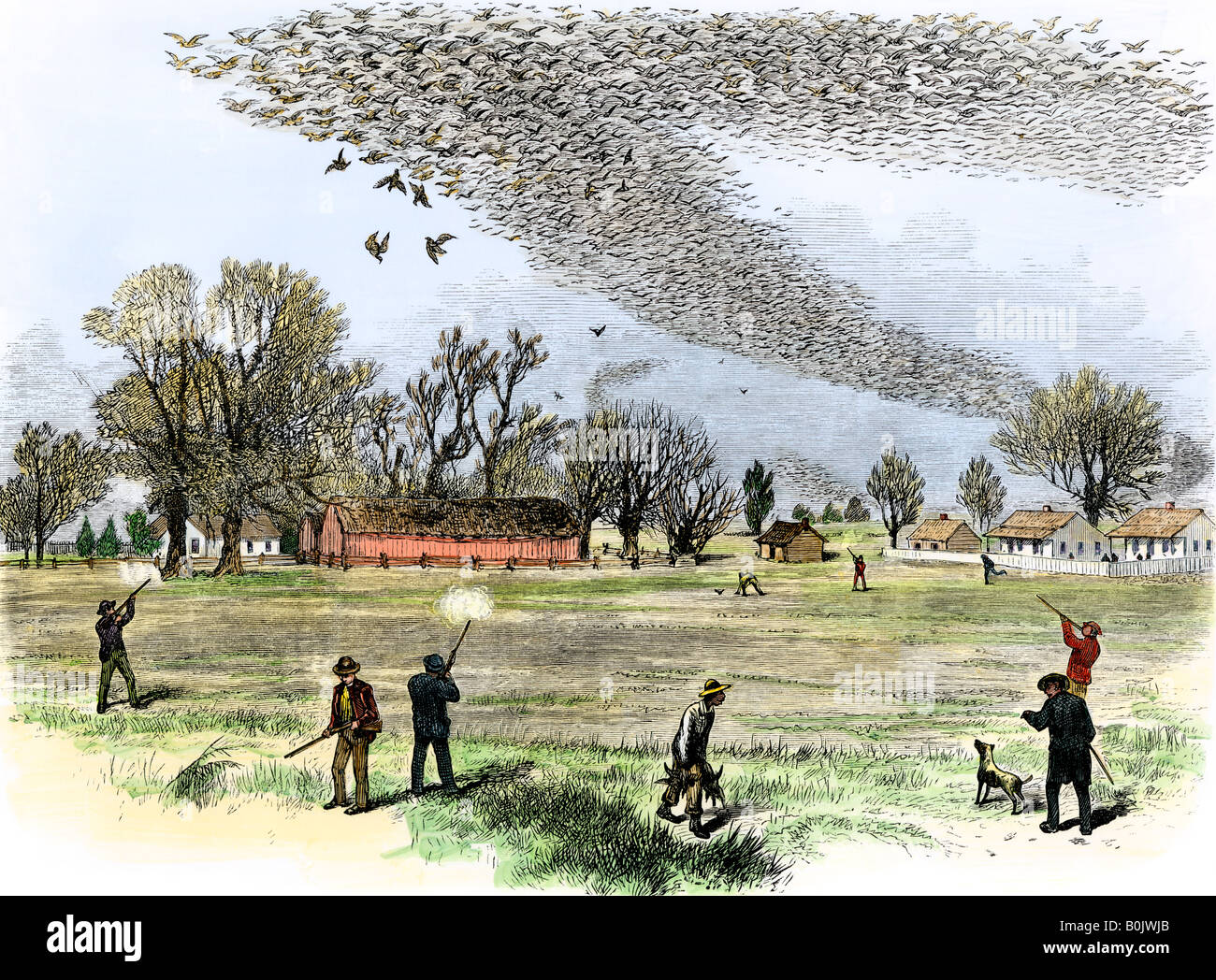Schießen Passagier Tauben, die jetzt für den Sport in Louisiana 1870 ausgestorben sind. Hand - farbige Holzschnitt Stockfoto