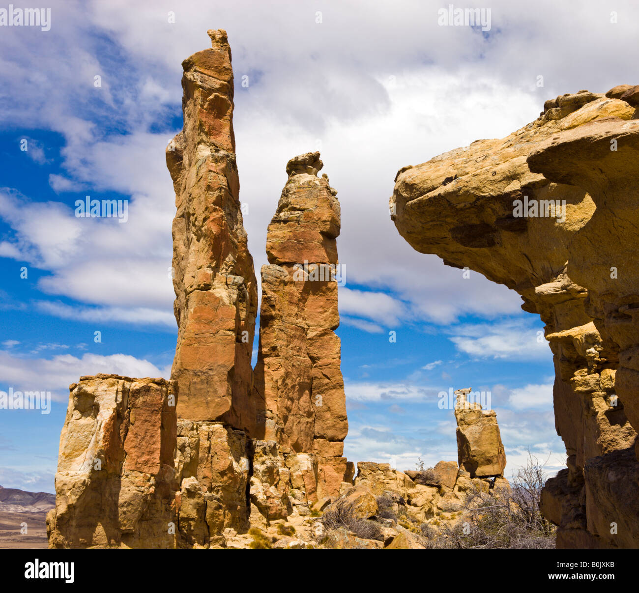 Sandsteinsäulen auf der patagonischen Steppe-Argentinien Stockfoto