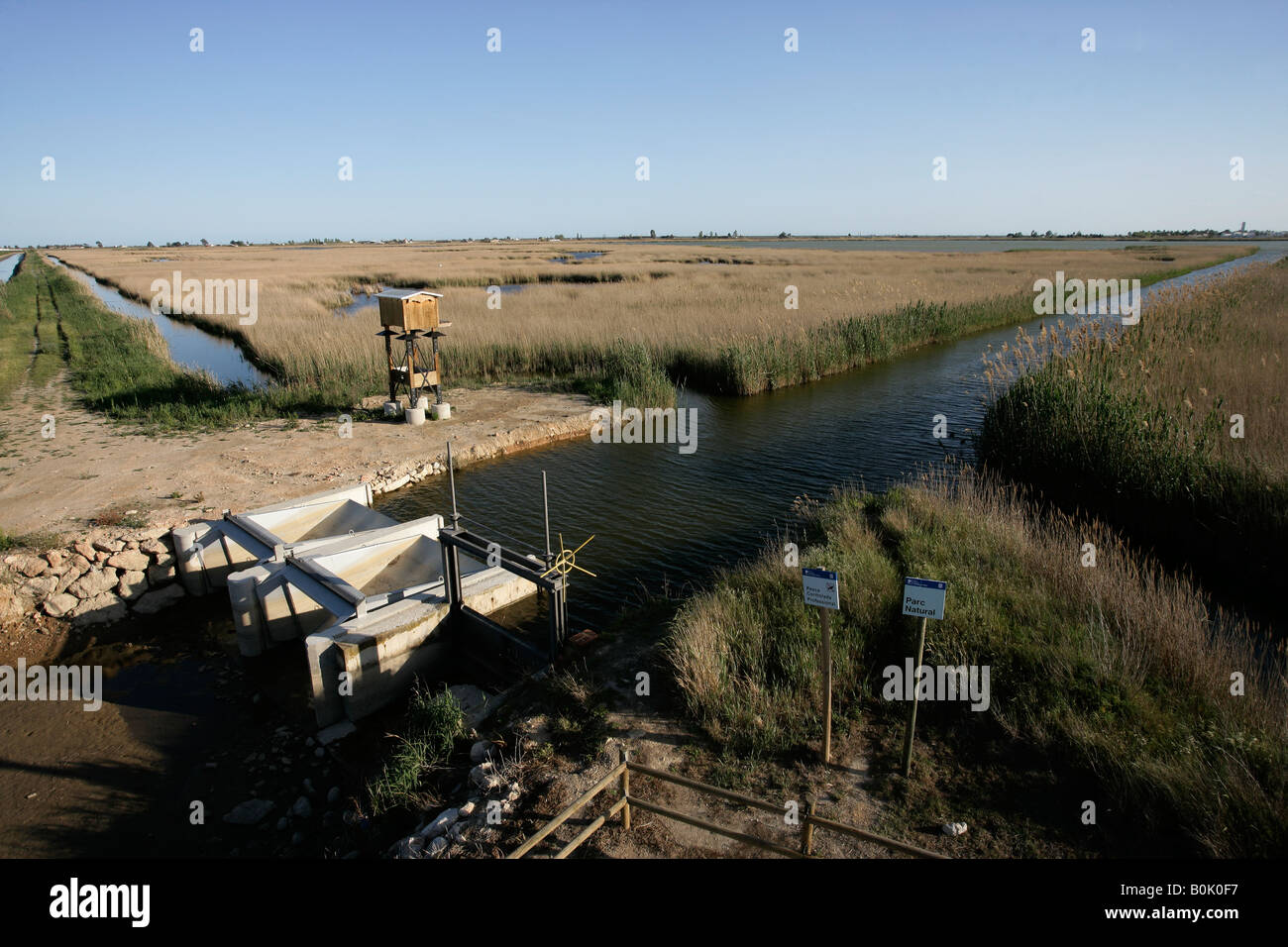 Ebro Delta Spanien Lagune Encanyissada Fledermaus Nistkasten, die 25.000 Fledermäuse halten können Stockfoto