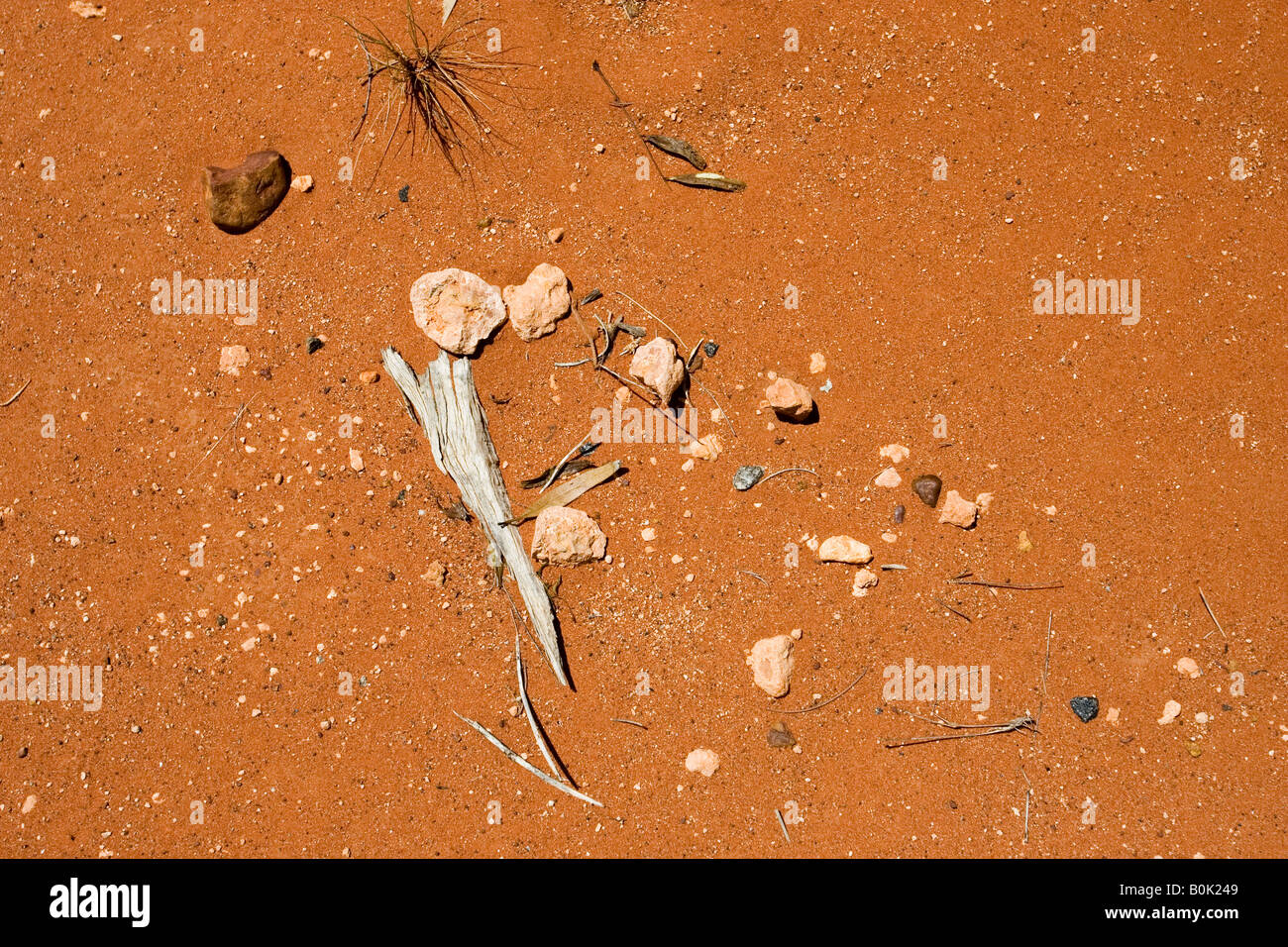 Steinen, Rinde und Blätter in Schmutz an King s Canyon Northern Territory Australien Stockfoto