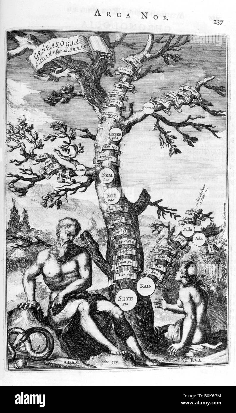 Genealogie-Baum von Adam, 1675.  Künstler: Athanasius Kircher Stockfoto