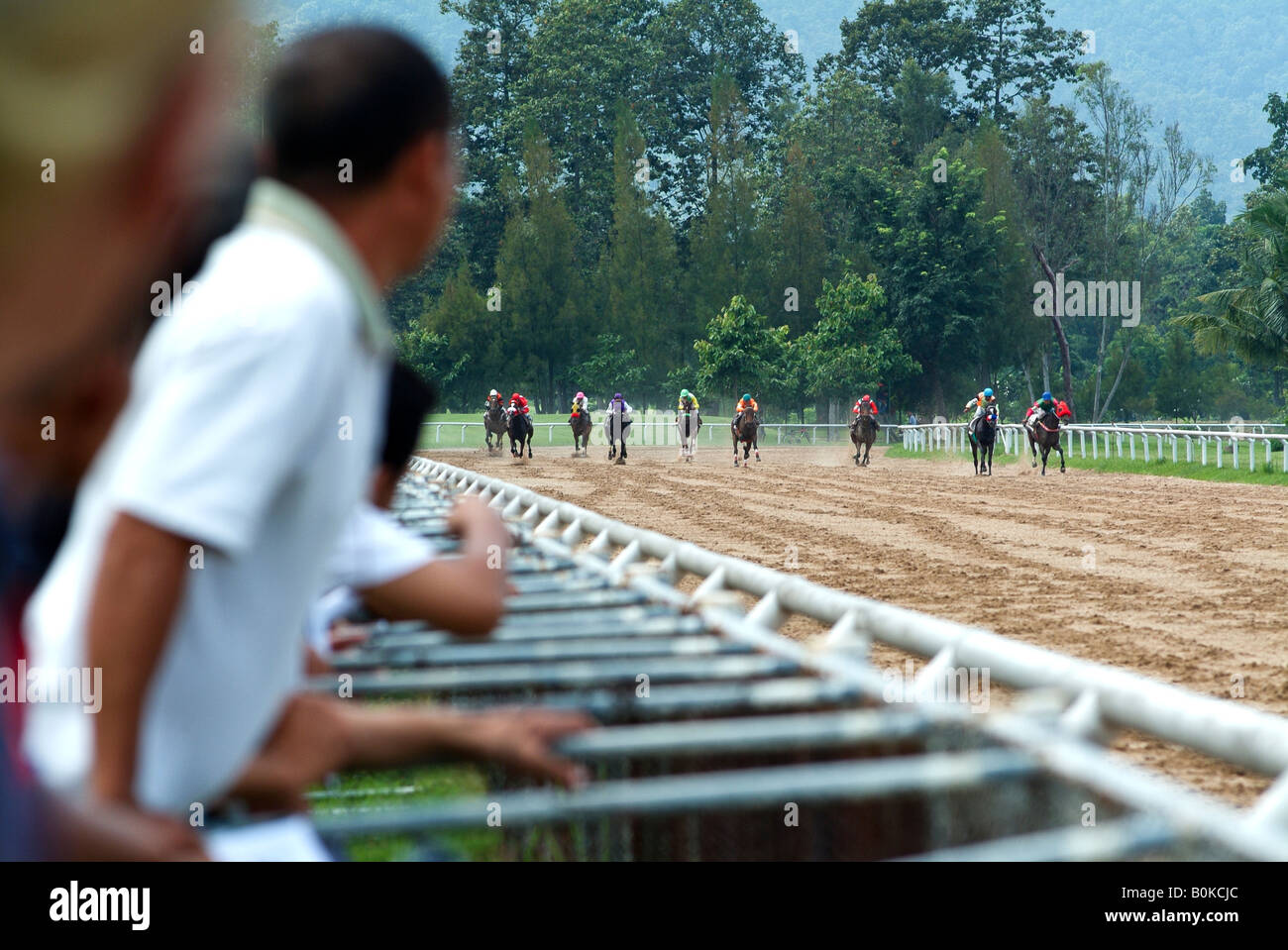 Zuschauer jubeln bei einem Pferd Rennen an der Strecke in Chiang Mai, Thailand. Stockfoto