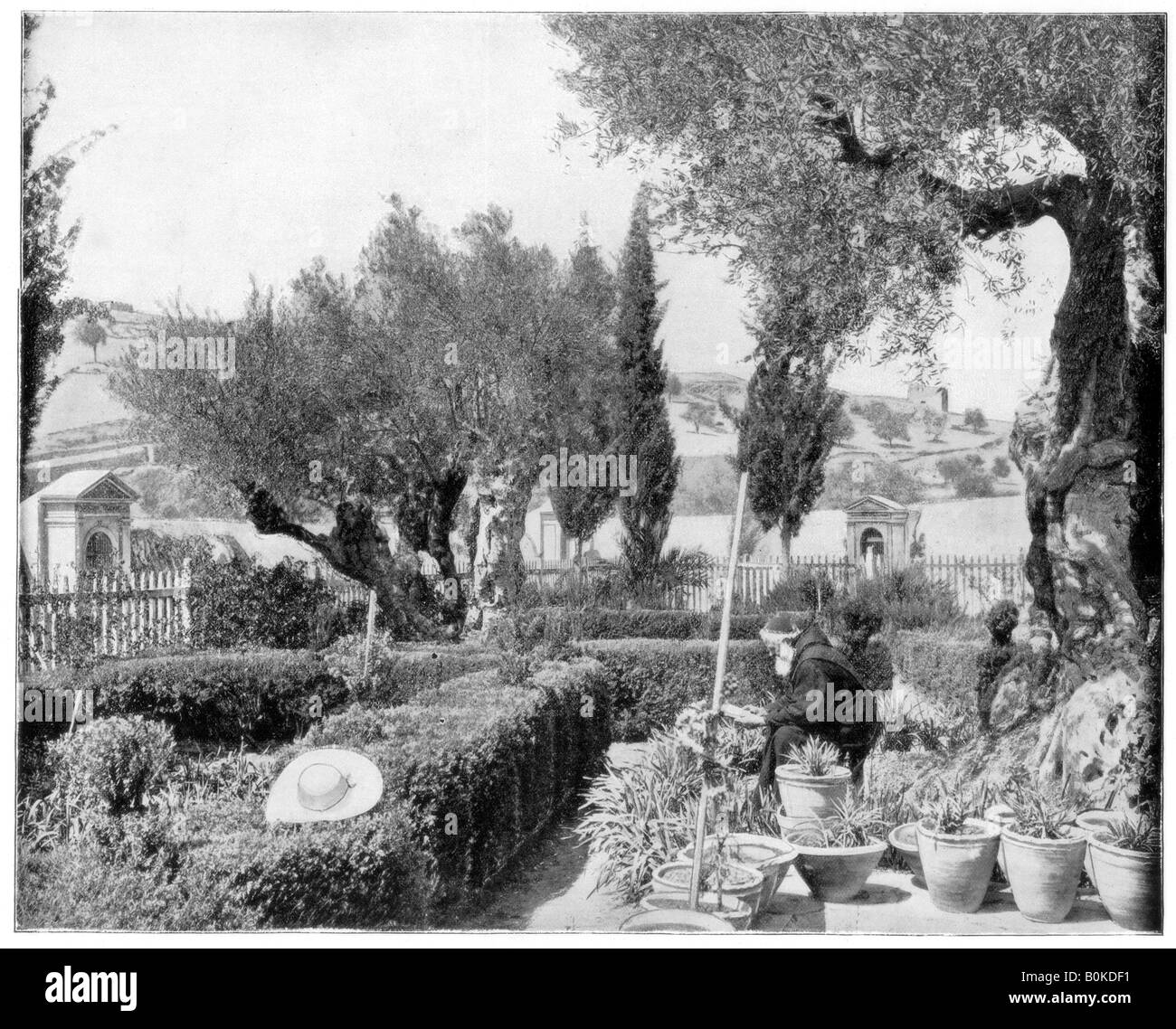 "Der Garten Gethsemane, Palästina", Ende des 19. Jahrhunderts. Artist: John L Stoddard Stockfoto