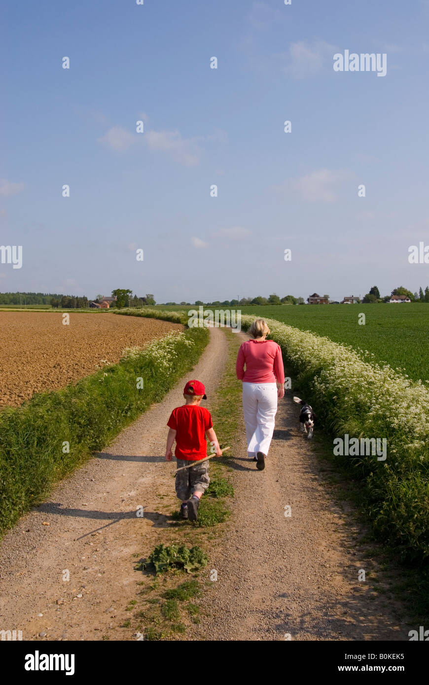 Mutter und Sohn Spaziergang mit dem Hund auf einer Land-Strecke Stockfoto