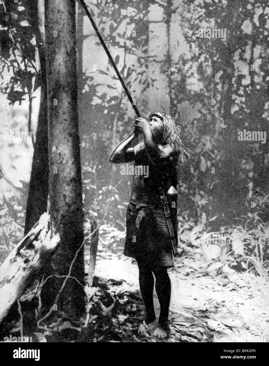 Pygmy Baum dweller mit einem Blasrohr, Malaya, 1936. Artist: Malaiische Information Agency Stockfoto