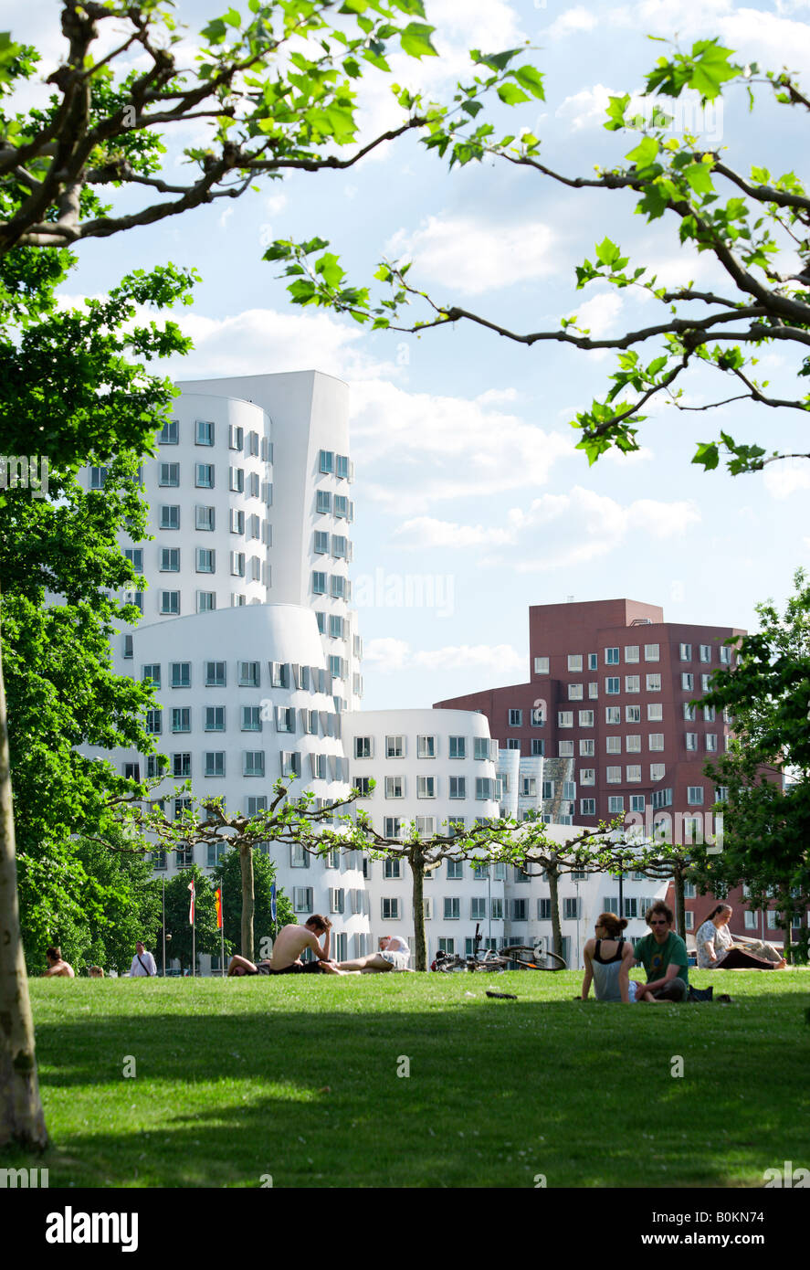 Neuer Zollhof, Gebäude vom Architekten Frank Owen Gehry im Düsseldorfer Medienhafen, Rasen am Rhein Banken im Vordergrund Stockfoto