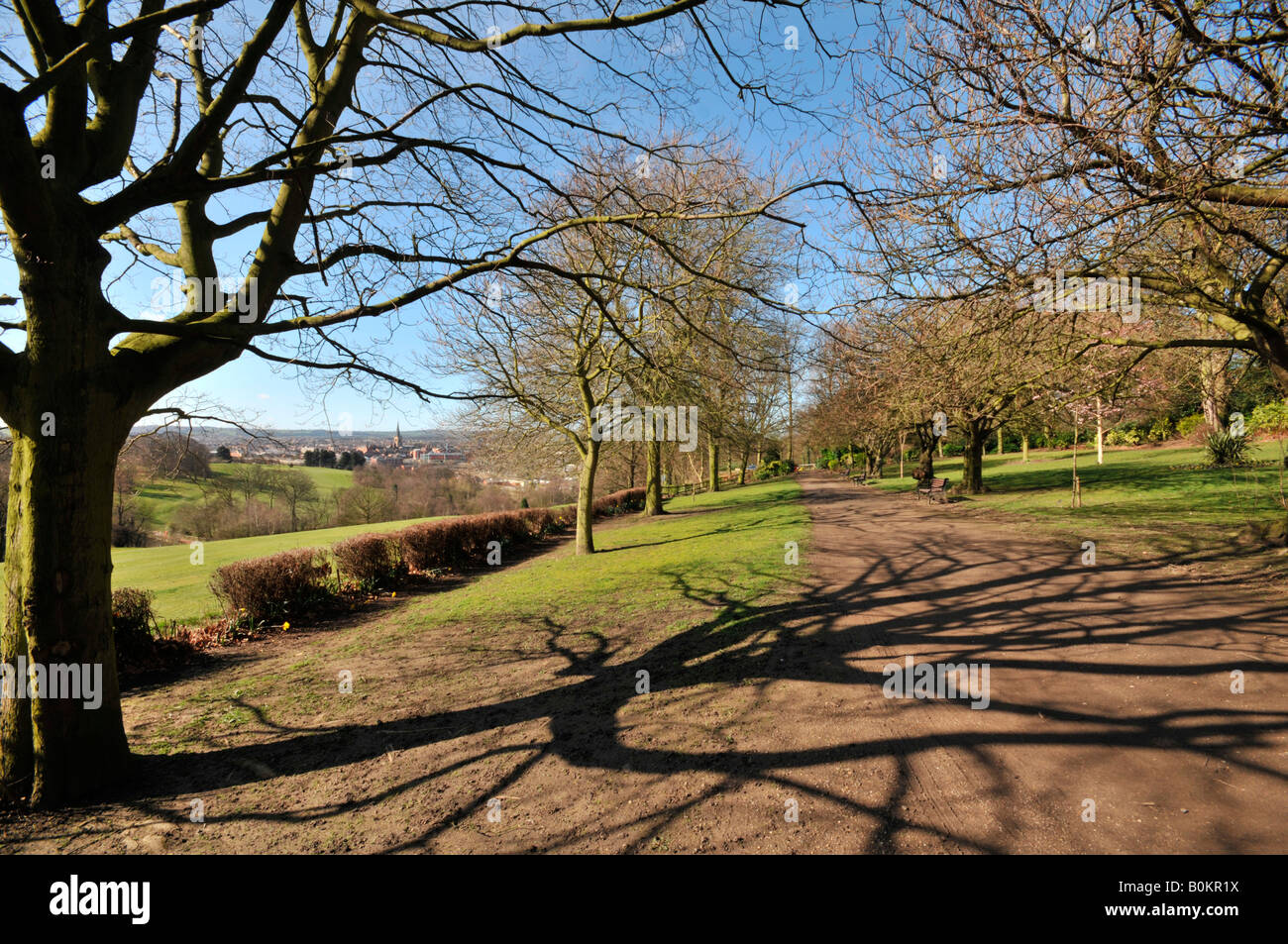 Tapton Park Chesterfield Derbyshire England UK Stockfoto