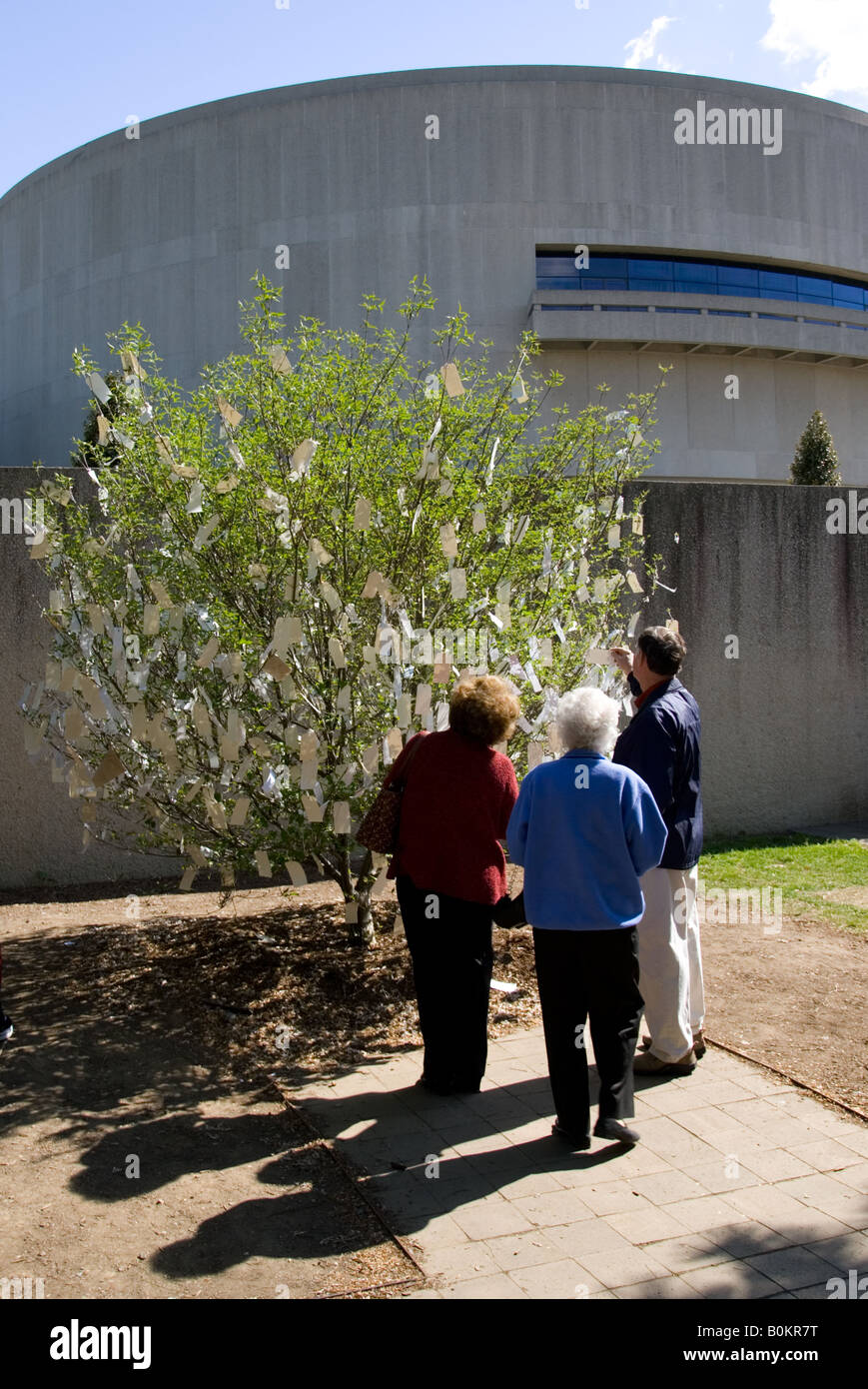Besucher betrachten Wunschbaum für Washington D C von Yoko Ono auf The Hirshhorn Museum and Sculpture Garden-USA Stockfoto