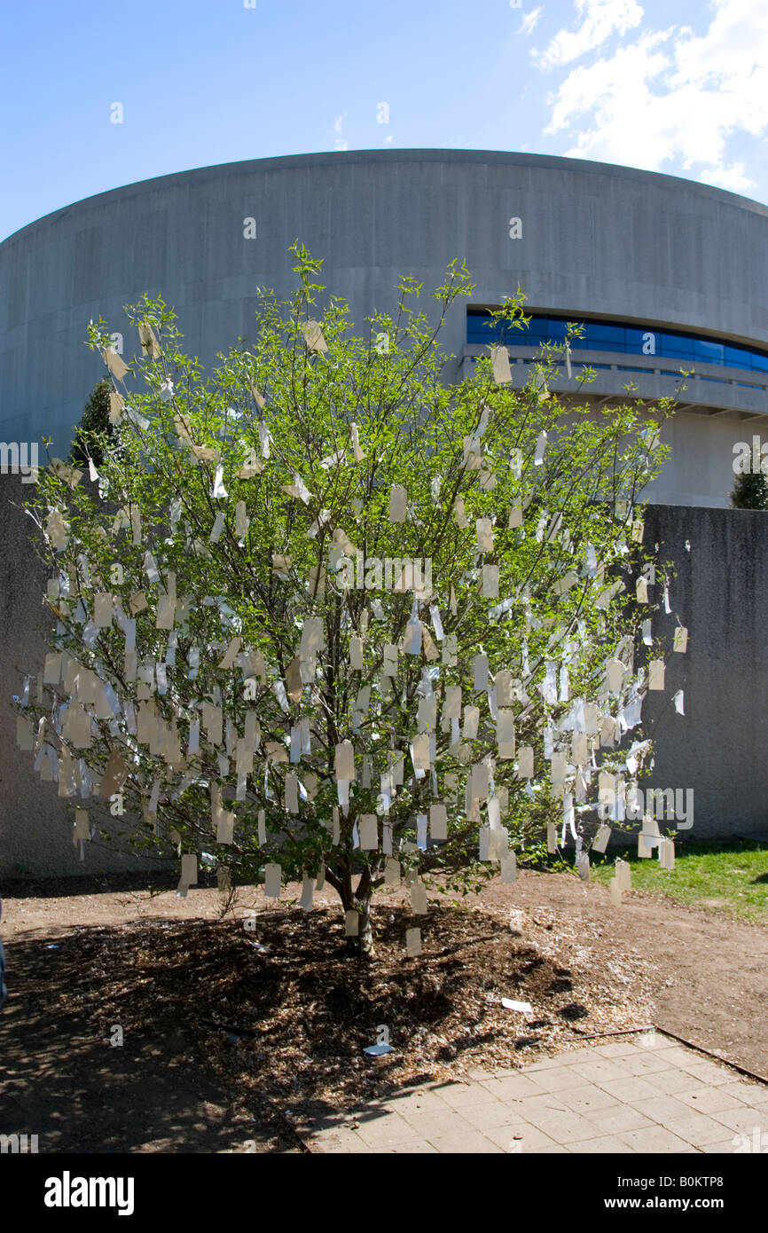 Möchten Baum für Washington DC von Yoko Ono an der Hirshhorn Museum und der Skulpturengarten USA Stockfoto