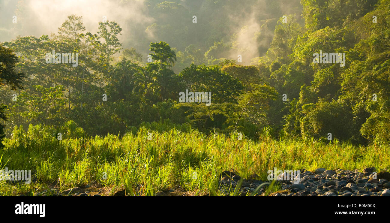 COSTA RICA Morgennebel steigt aus dem Regenwald auf der unteren Pacuare Fluss Karibik Piste Stockfoto