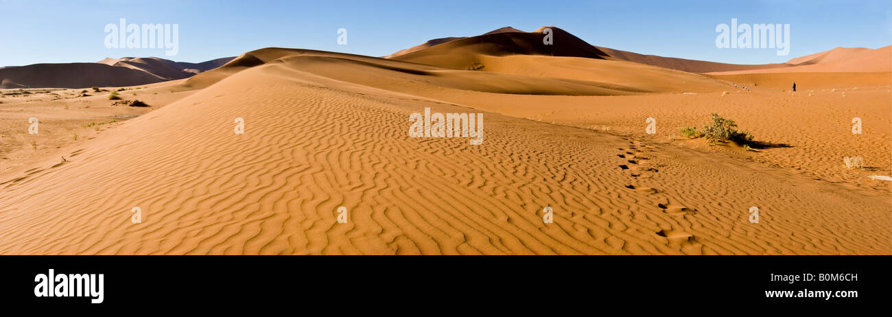 Soussusvlei Namib-Naukluft Dünen der Wüste windswept Kanten im Sand, 1 kleine touristische Silhouette im Hintergrund, die Fußspuren im Sand Vordergrund Stockfoto