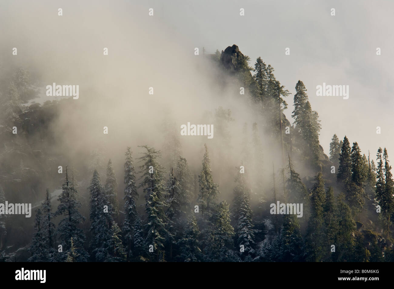 Clearing von Gewitterwolken und Bäume Yosemite National Park in Kalifornien Stockfoto