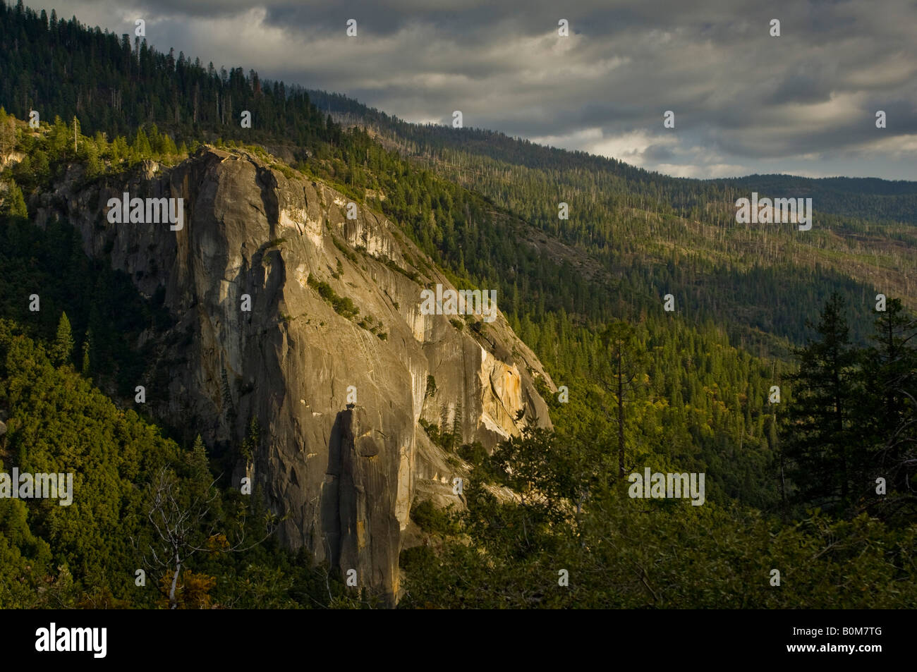 Granit Stein Felsen und Wald Yosemite Nationalpark Kalifornien Stockfoto