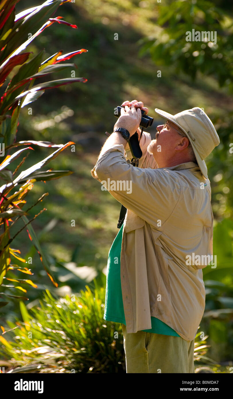 COSTA RICA reifer Mann mit Fernglas und Vogelbeobachtung im Regenwald Stockfoto